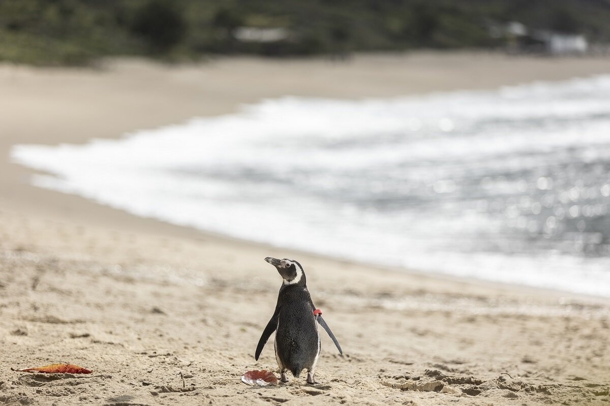 Фото отсюда: https://www.forumcinemas.ru. Листаем карусель