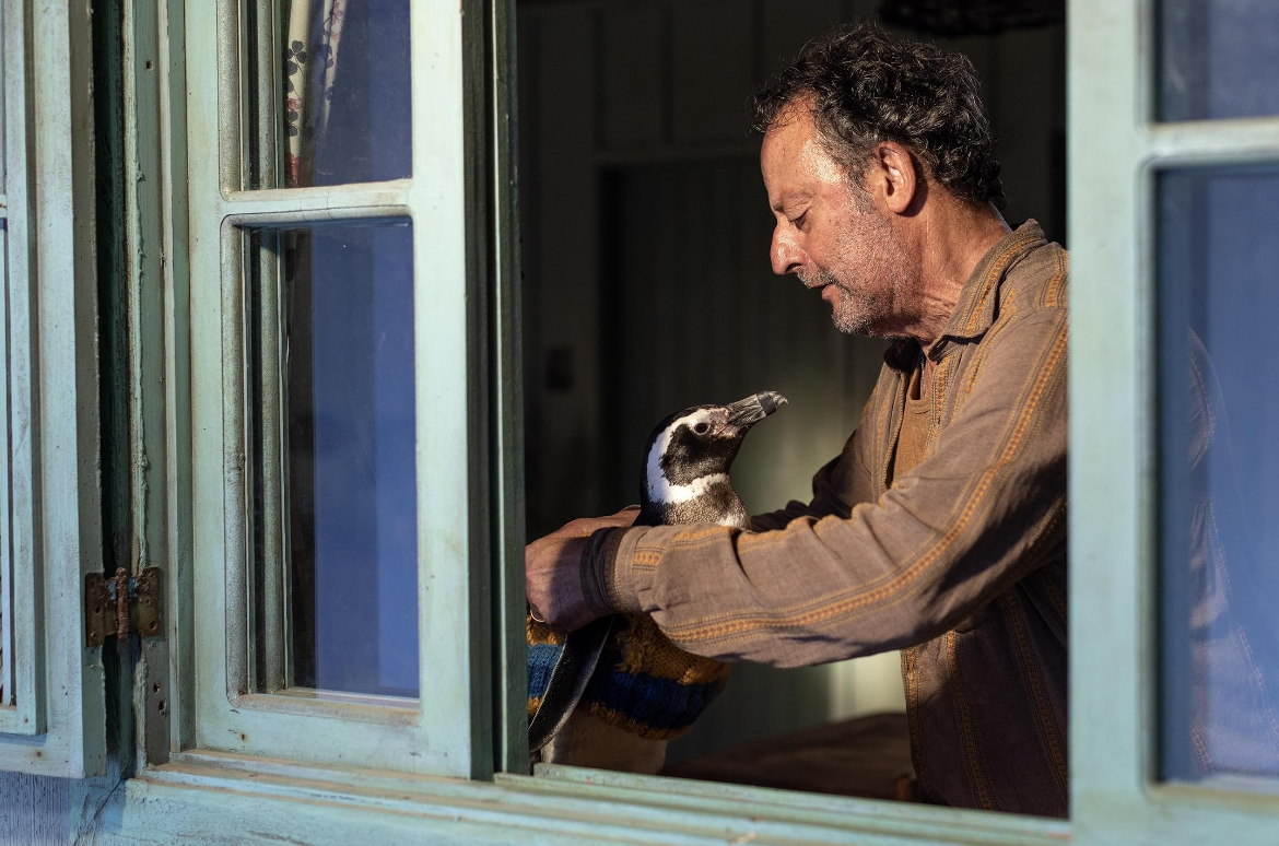 Фото отсюда: https://www.kino-teatr.ru/kino/movie/latin/182543/foto/1626867/