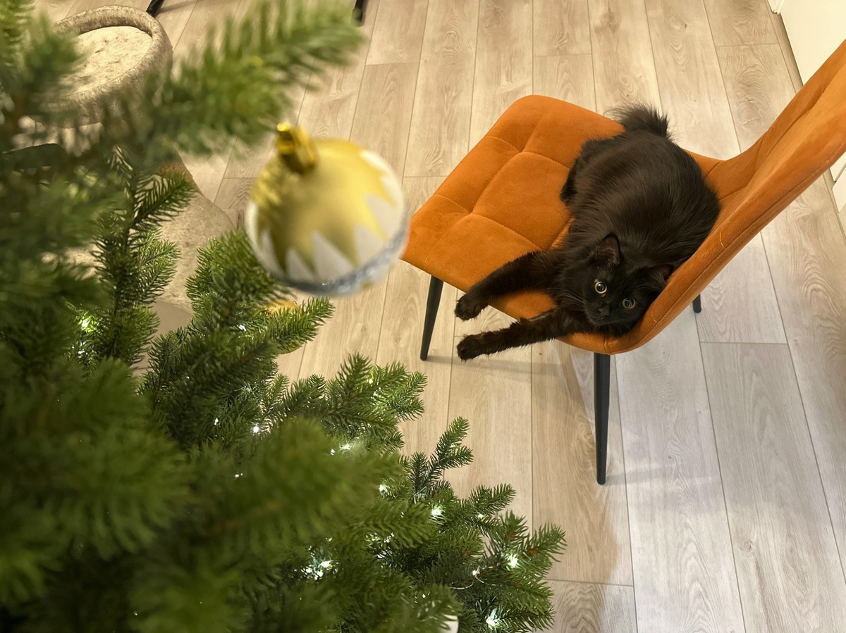 Автор фото - моя дочь