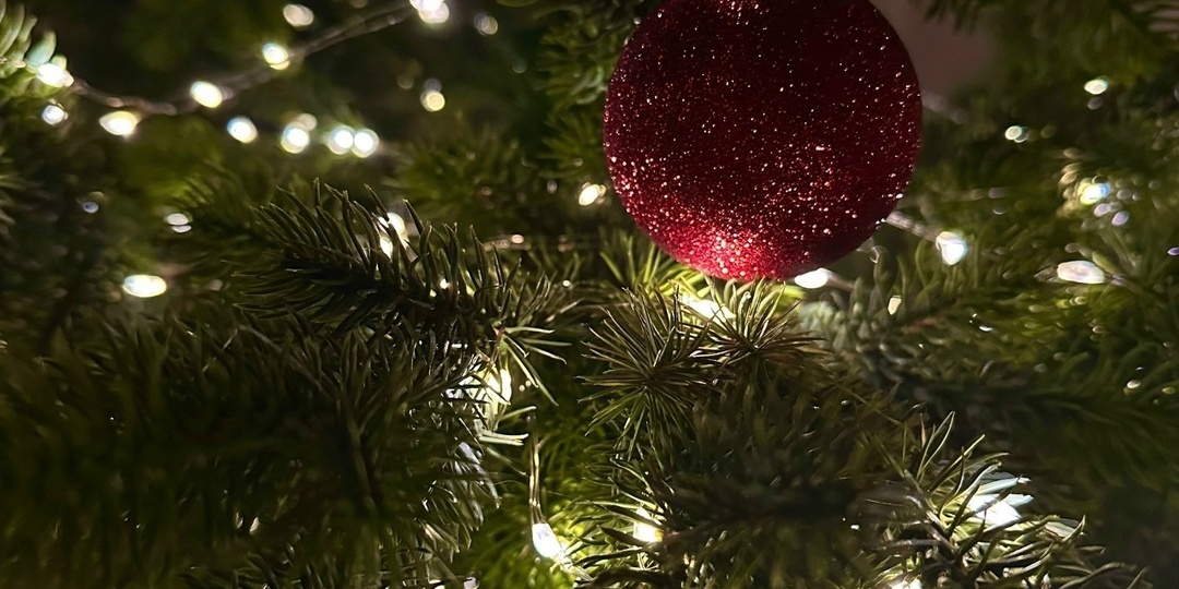 Декабрьская орфография в формате ЕГЭ по русскому языку