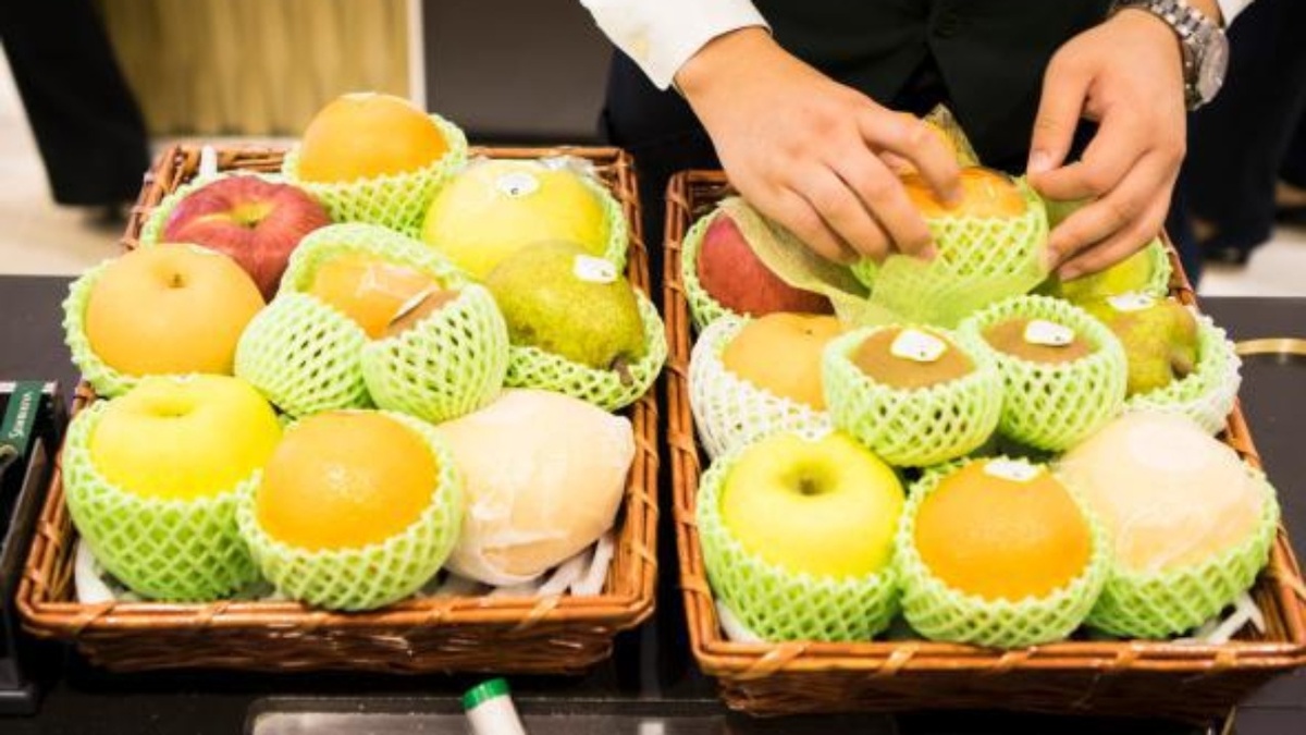 Фото из открытых источников. Фрукты не трогают руками - только через защитную сетку.