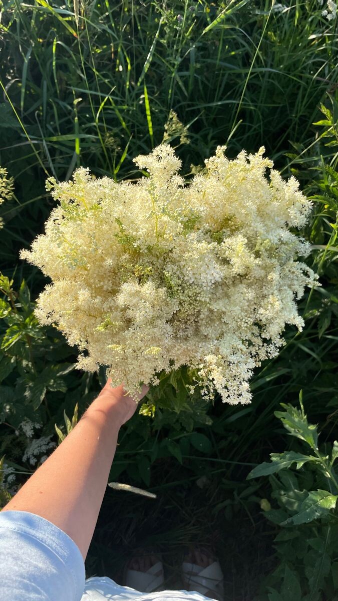 Фото с сайта Pinterest