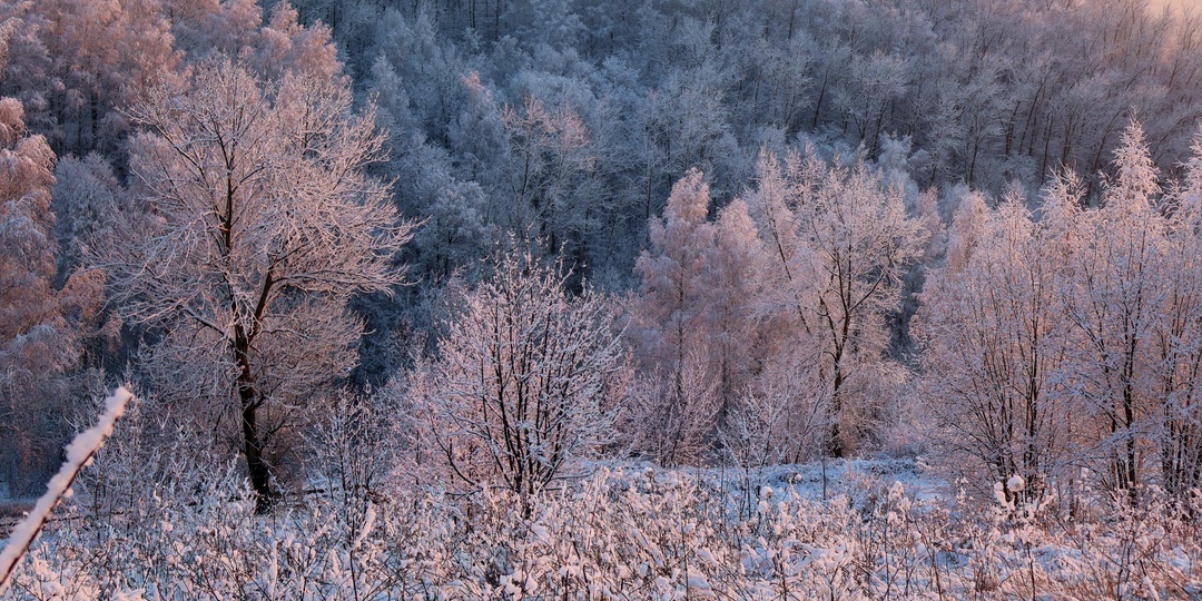 Трое суток в амурской тайге при −40°С: как вахтовик из Хабаровска выживал в сугробах