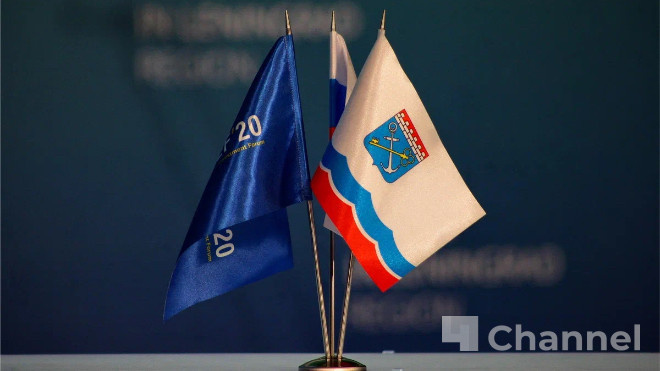 Фото: Анастасия Илюшина/47channel, архив