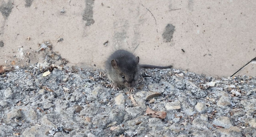    Фото Анастасии Дмитриевой