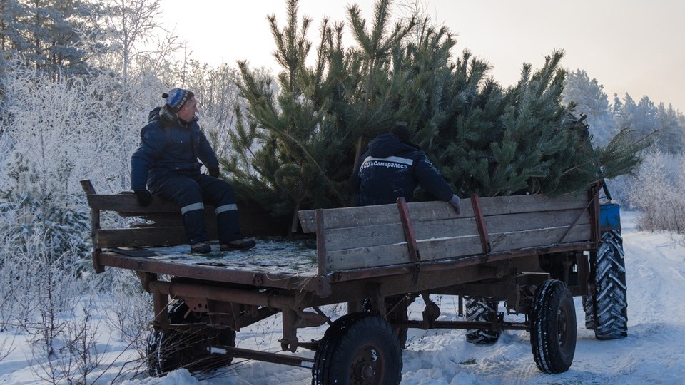В Пермском крае с 17 декабря начнут патрулирование лесов