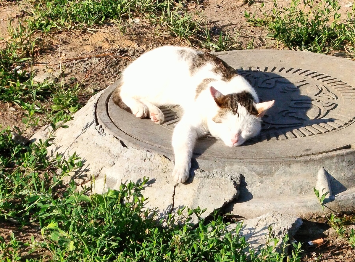 "Всё, что вы можете вообразить, реально"  Пабло Пикассо