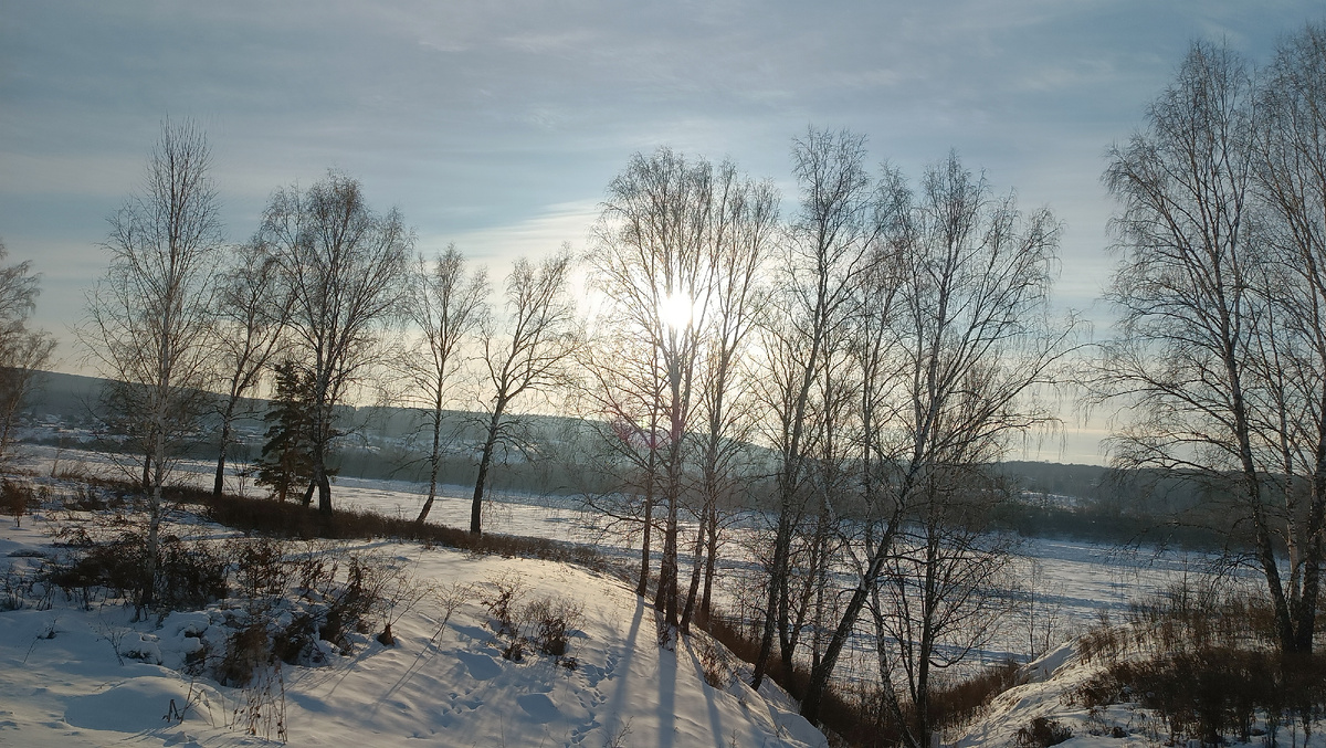 Дорога в город из окна автобуса. 