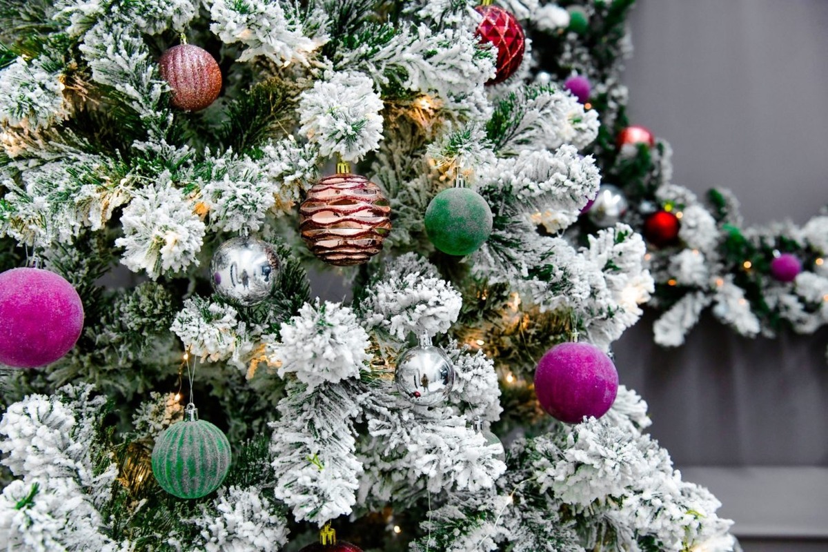    Фото: «Республика» / Оксана Кудряшова