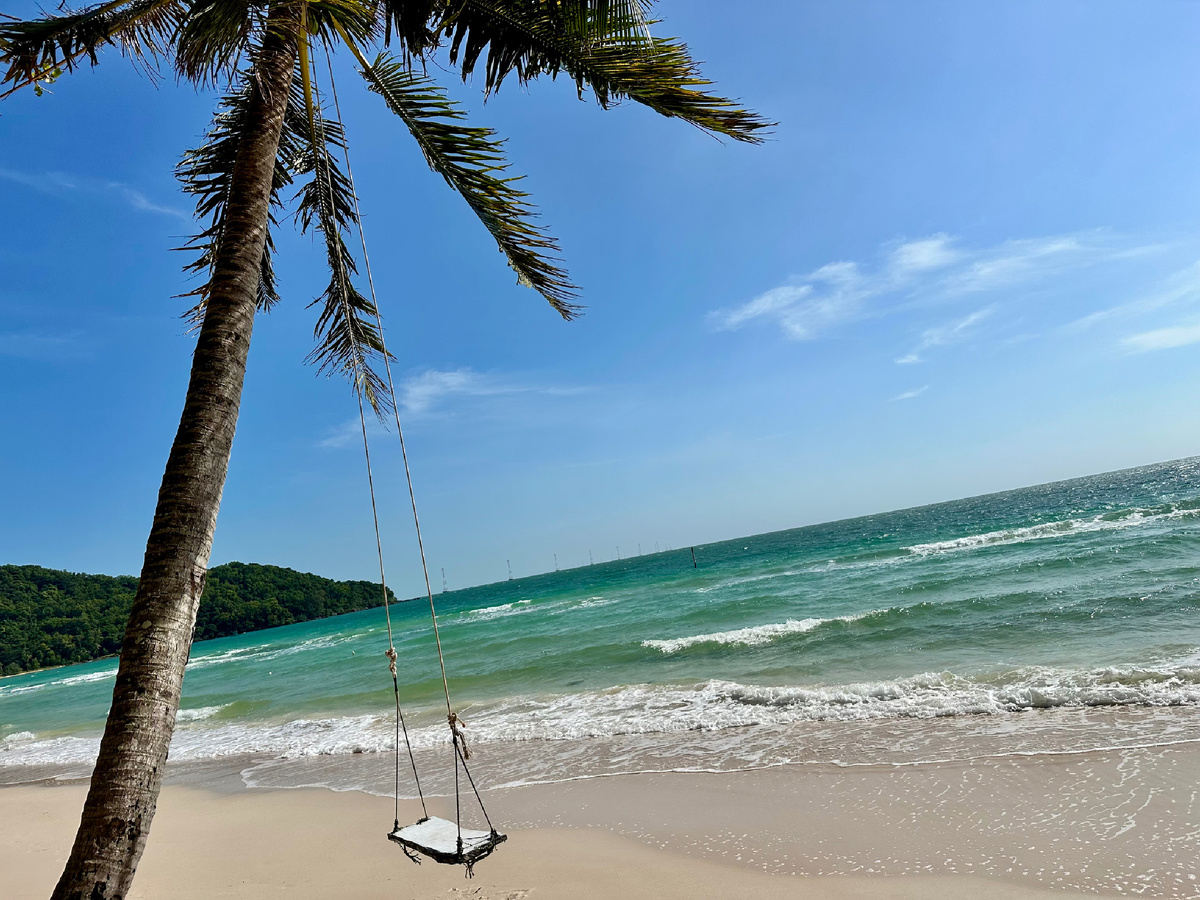 Пальмы шелестят.