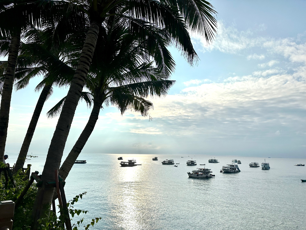 Пальмы на Фукуоке.