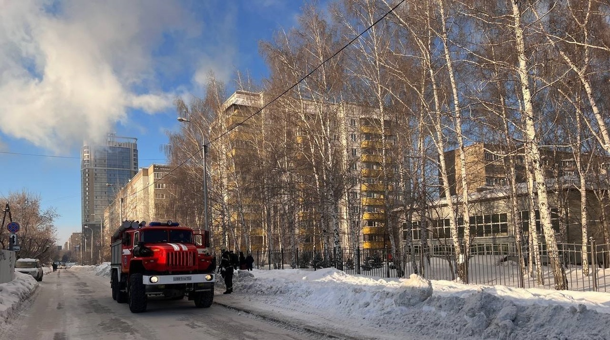    Фото: официальный ТГ-канал прокуратуры Новосибирской области