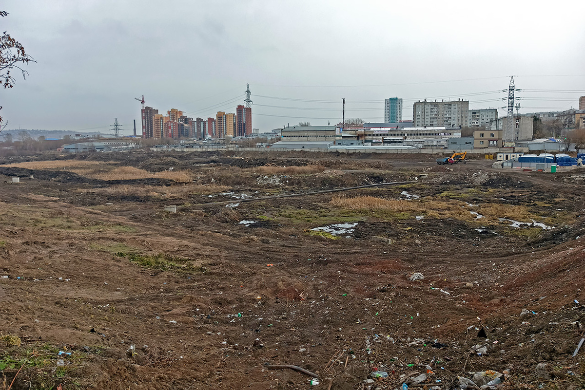     Согласно планам, уже освобожденную от зарослей территорию должны подготовить к стройке к лету следующего года. Но пока процесс выбора исполнителей затягивается
