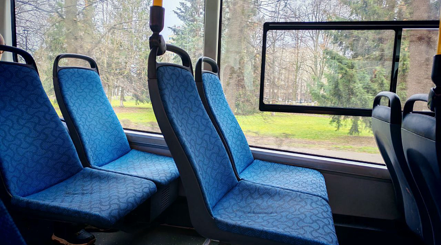    Фото: Виктория Олефиренко.