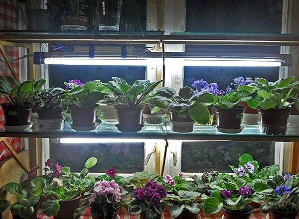 Фото интернет.