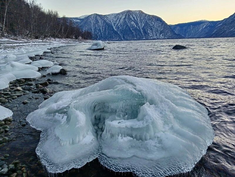Листайте вправо, чтобы увидеть больше изображений