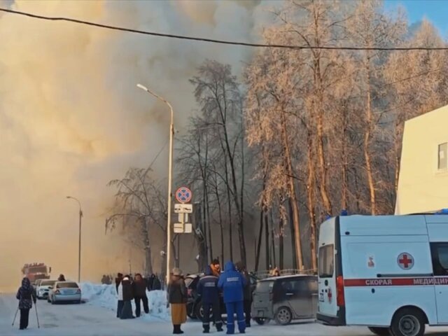    Фото: телеграм-канал "МЧС Новосибирской области"