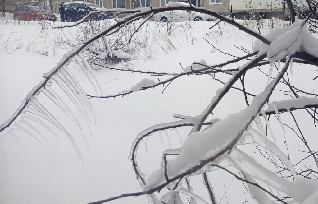    Фото: В курсе.ру Ульяна Бажанова