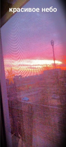 Красивый момент