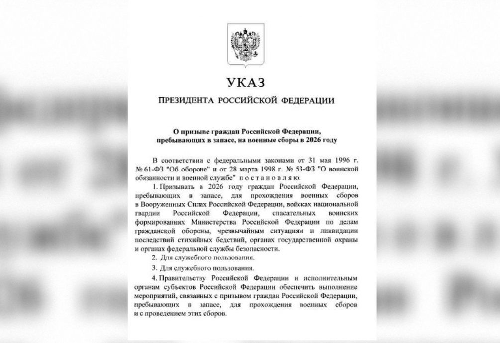   Иллюстрация: соцсети.