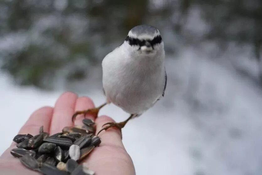 Фото: Национальный парк «Таганай»