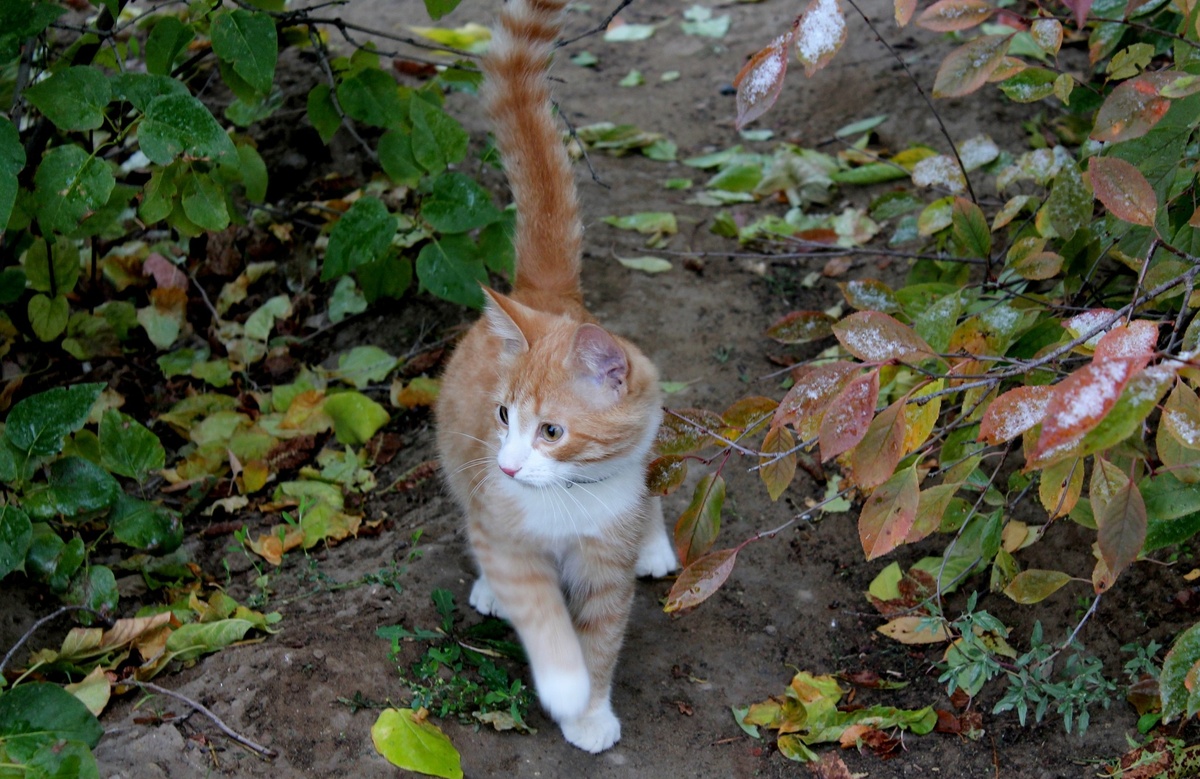 Фото из личного фотоархива