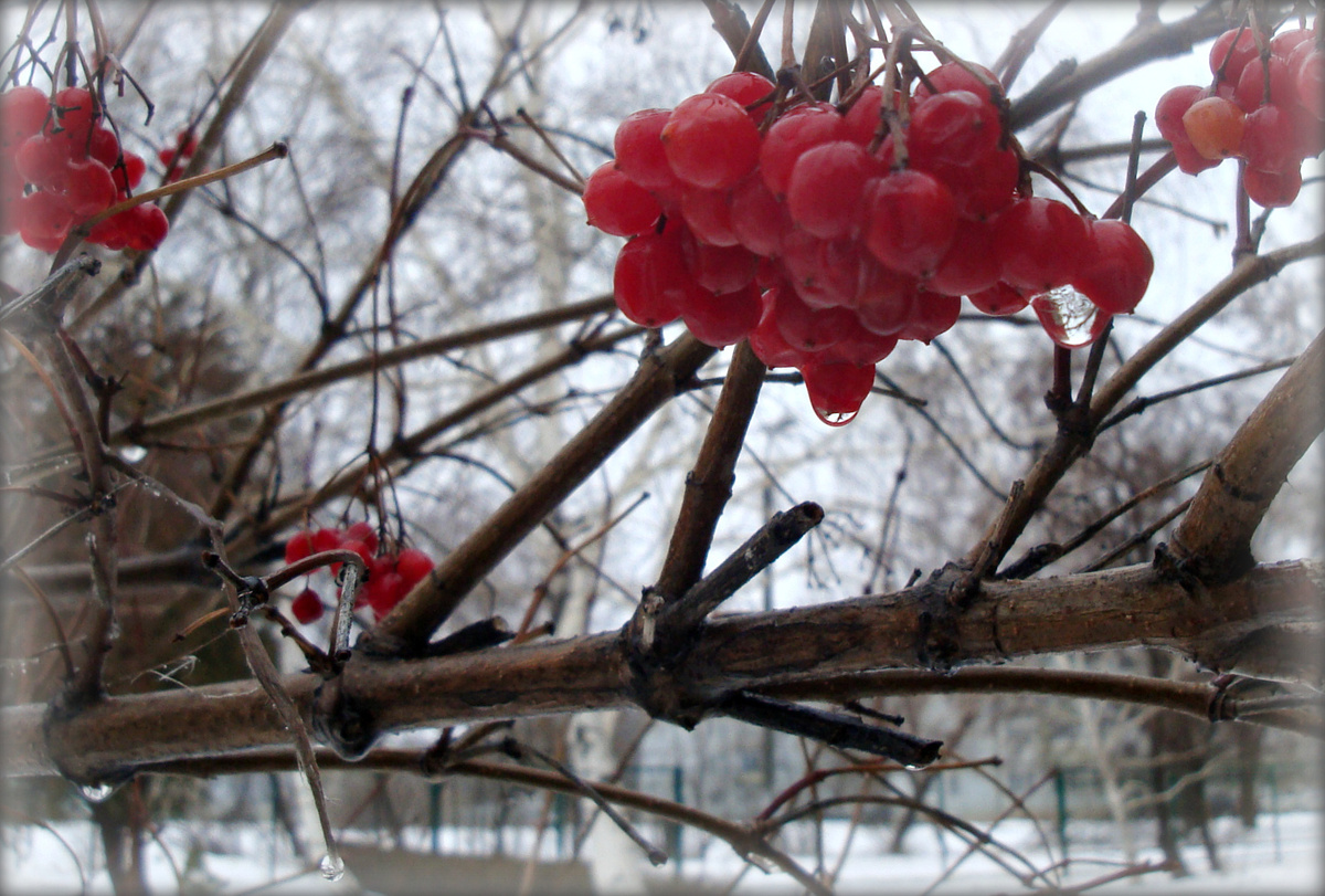 Фото из личного фотоархива