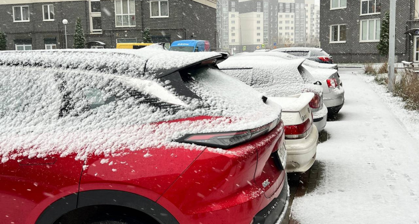    Фото: Первый городской канал Калининград