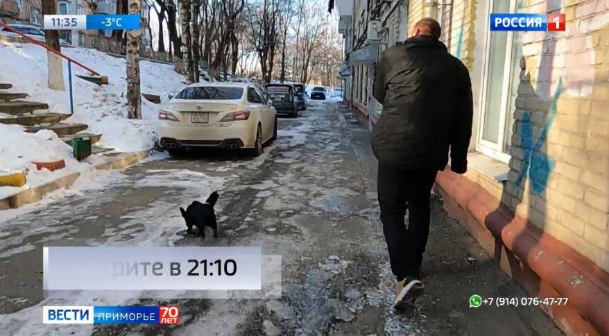    Источник фото: