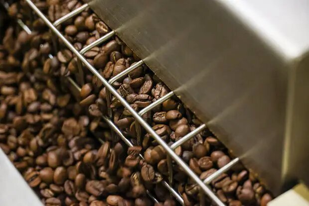    Фото: lenta.ru Олеся Шмелева