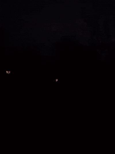    Видео: Telegram/Сергей Лебедев