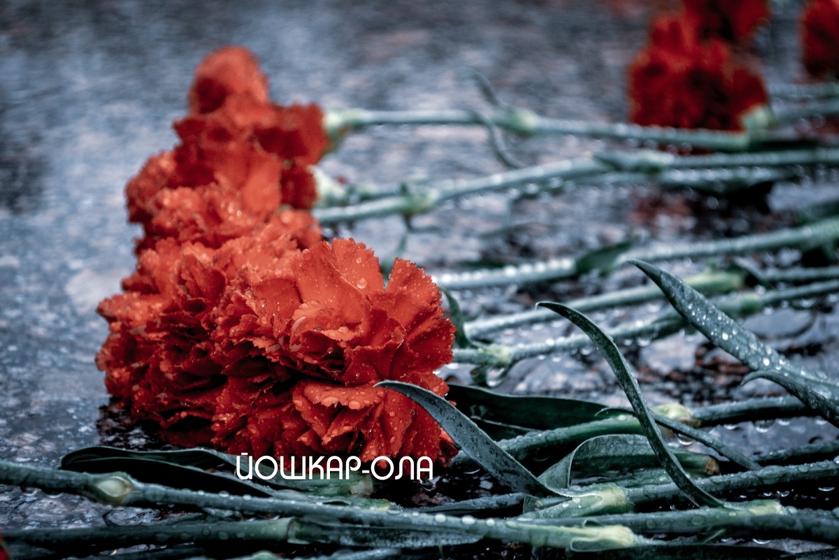 Фото Дарьи Быковой