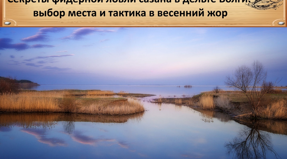 Секреты фидерной ловли сазана в дельте Волги: выбор места и тактика в весенний жор