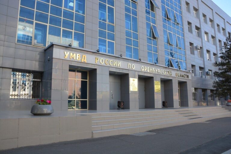    Жительницу Оренбурга арестовали за мелкое хулиганство Оренбуржье