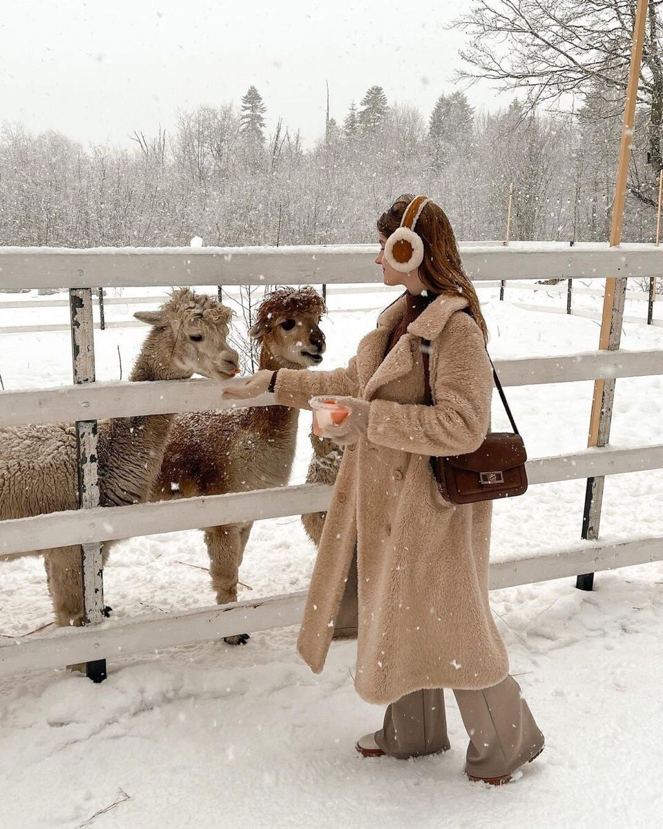 Яндекс Картинки.