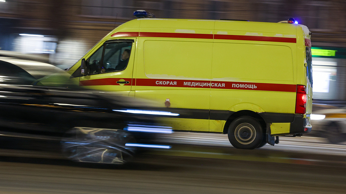   Екатерина Якель / ТАСС- Архивное фото