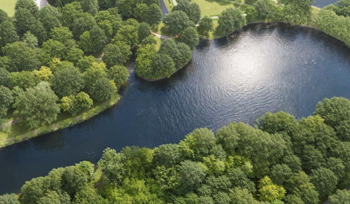     Пруд. Источник: mos ru Автор фото: Пресс-служба Мэра и Правительства Москвы