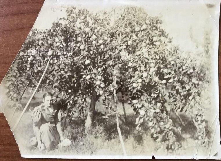 Фото С.А. Толстой. Александра (Львовна) Толстая в яблоневом саду усадьбы Ясная Поляна. Период создания: 1897 г. Номер в Госкаталоге: 23616485 

