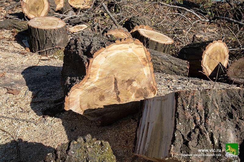    Источник фото: