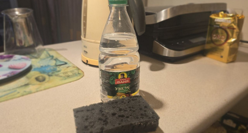    Фото Анастасии Дмитриевой