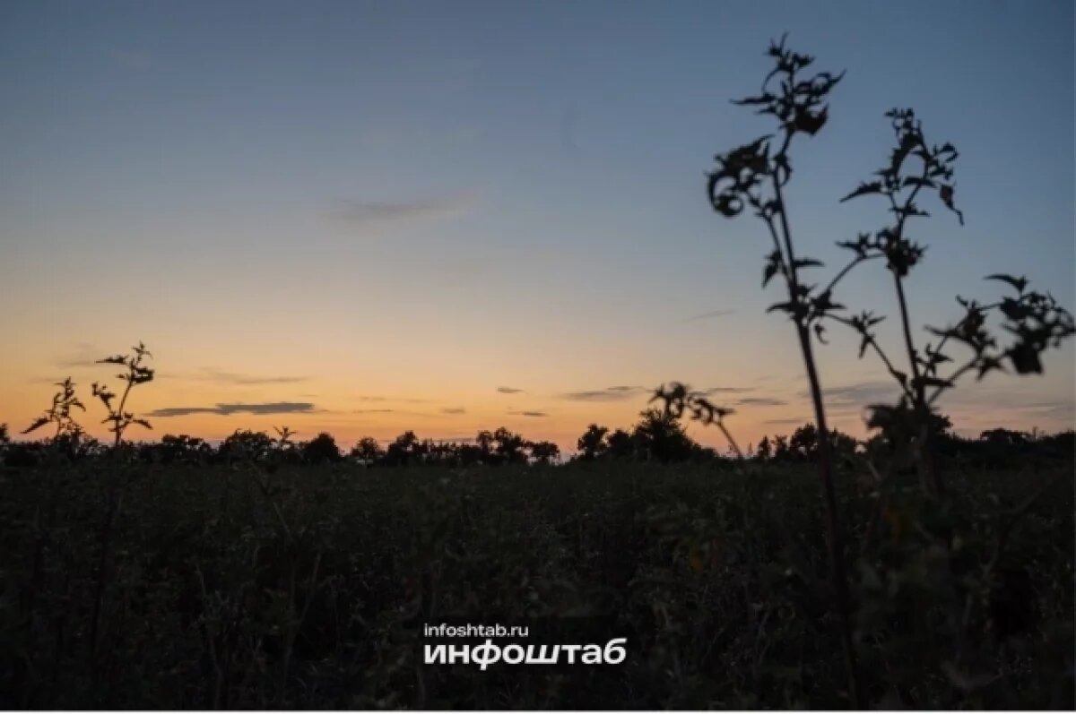    В Астраханской области задержали 17-летнего любителя дикой конопли