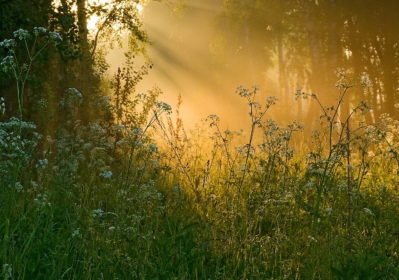фото из открытого доступного источника сети интернет