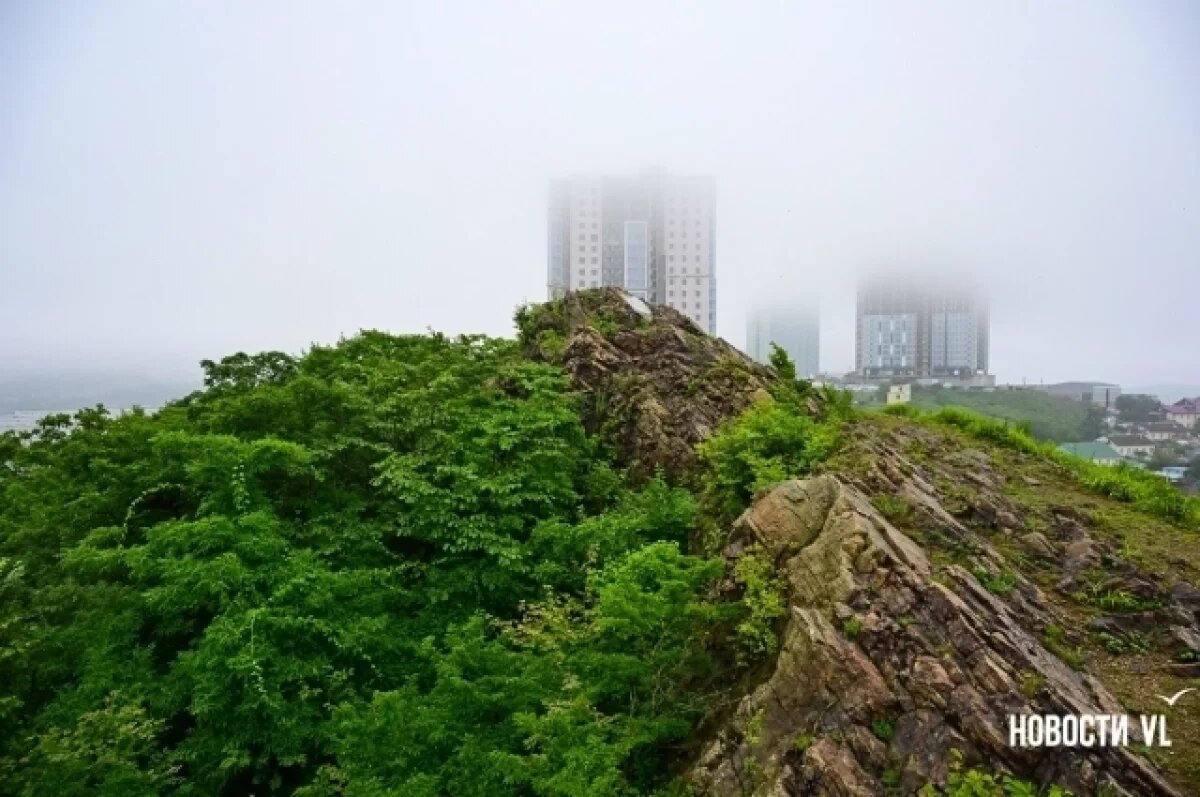    Лес на Змеинке во Владивостоке станет рекреационной зоной: стройку запретят