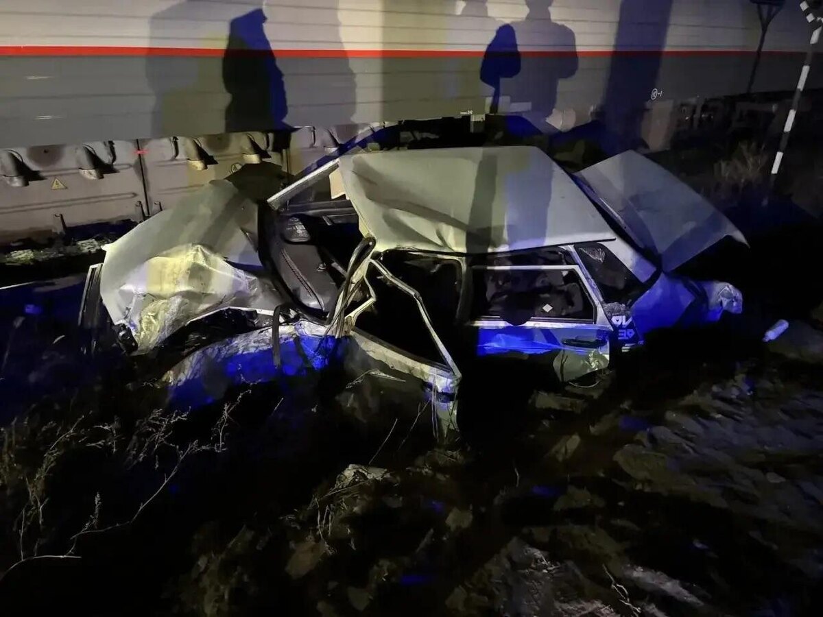    Фото: t.me/prokutp