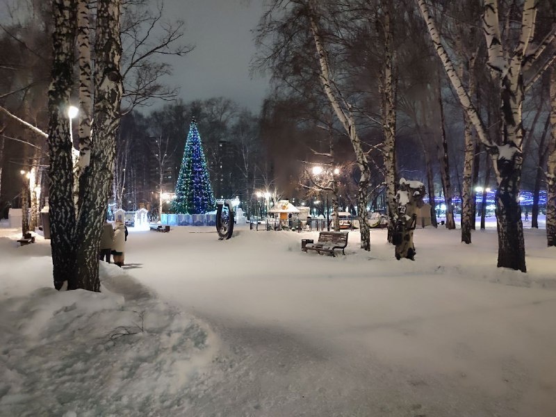    © Алёна Бронникова