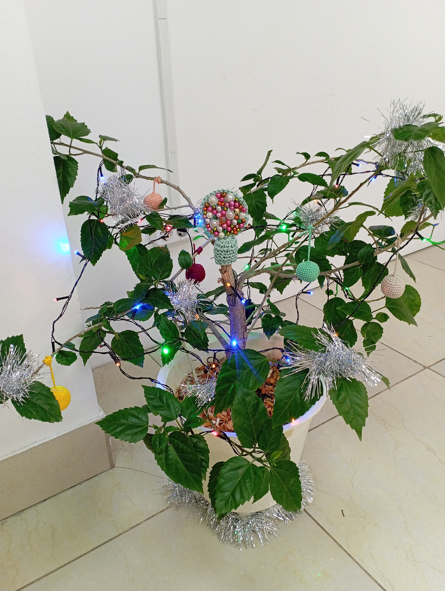 Новогодняя китайская роза