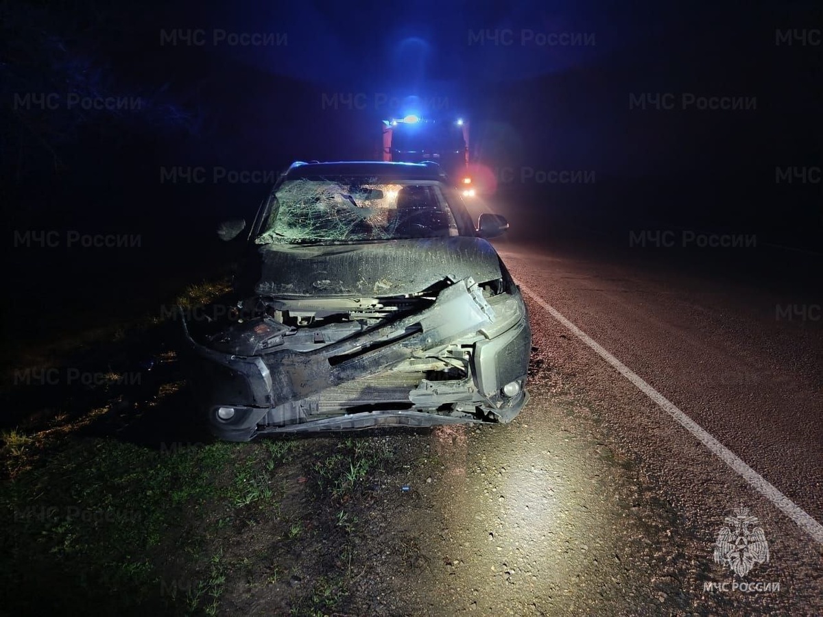    Фото: ГУ МЧС России по Херсонской области