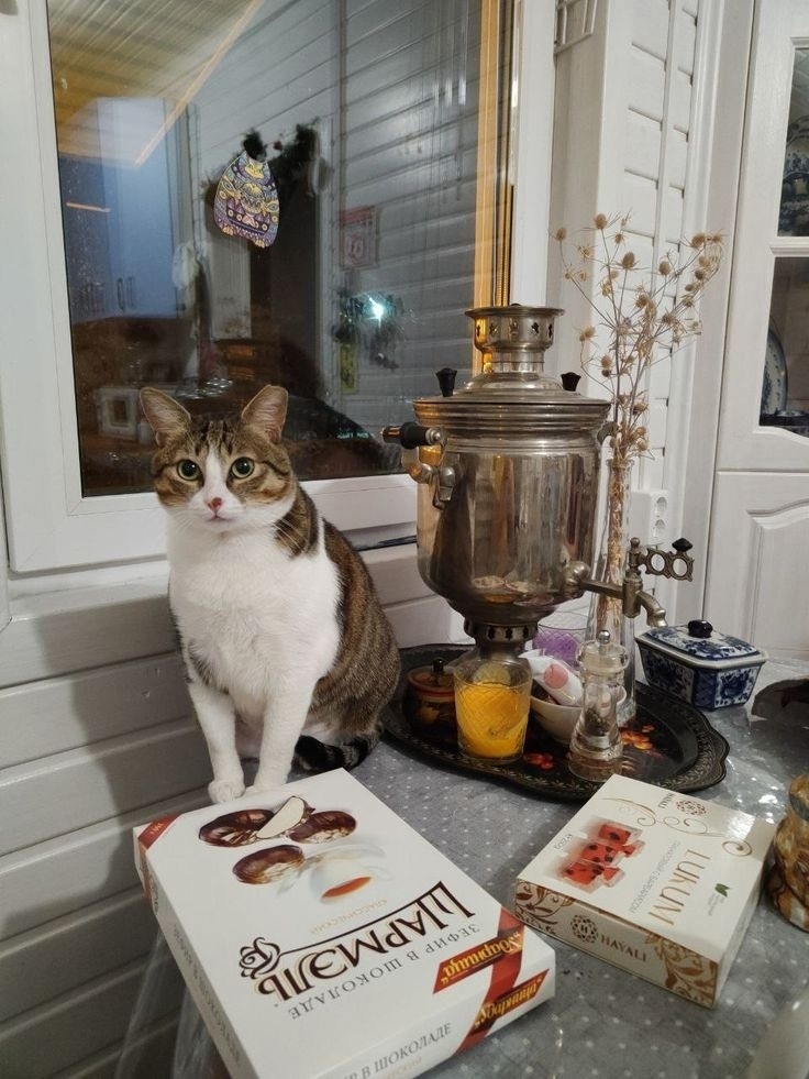 иллюстрация из яндекс картинки.