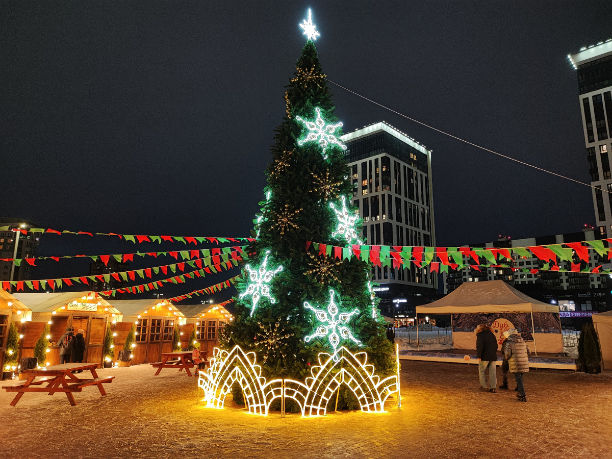 Новогодняя ёлка на площади у Дома учёных 2023/2024 год.