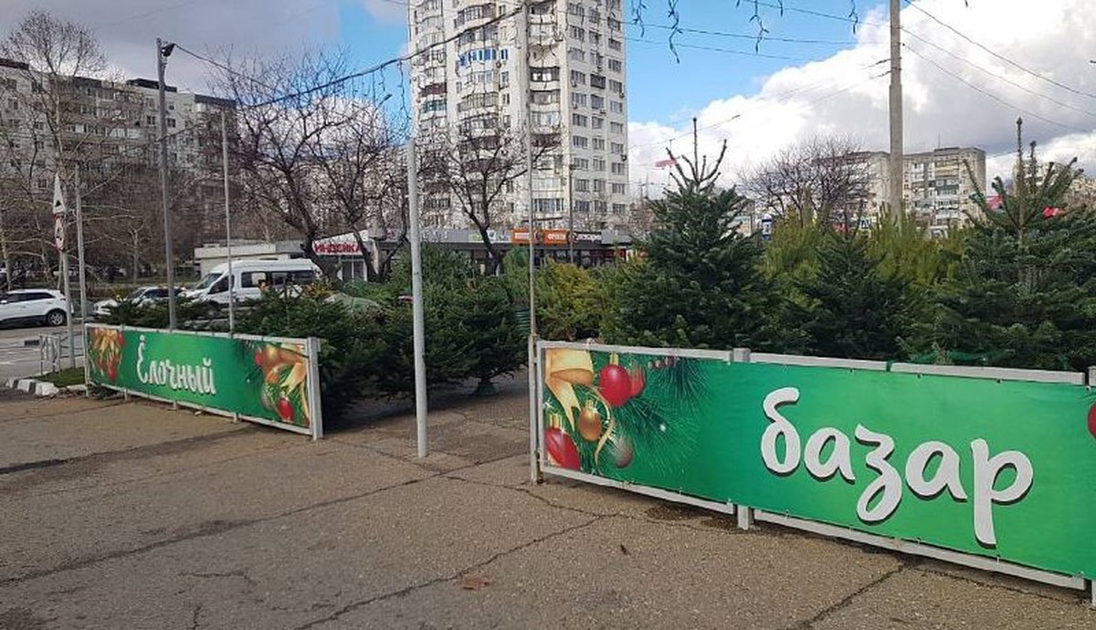    Фото t.me/pressnovoross